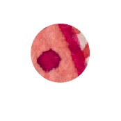 murmeln-4